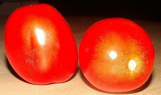 geblitzte Tomaten